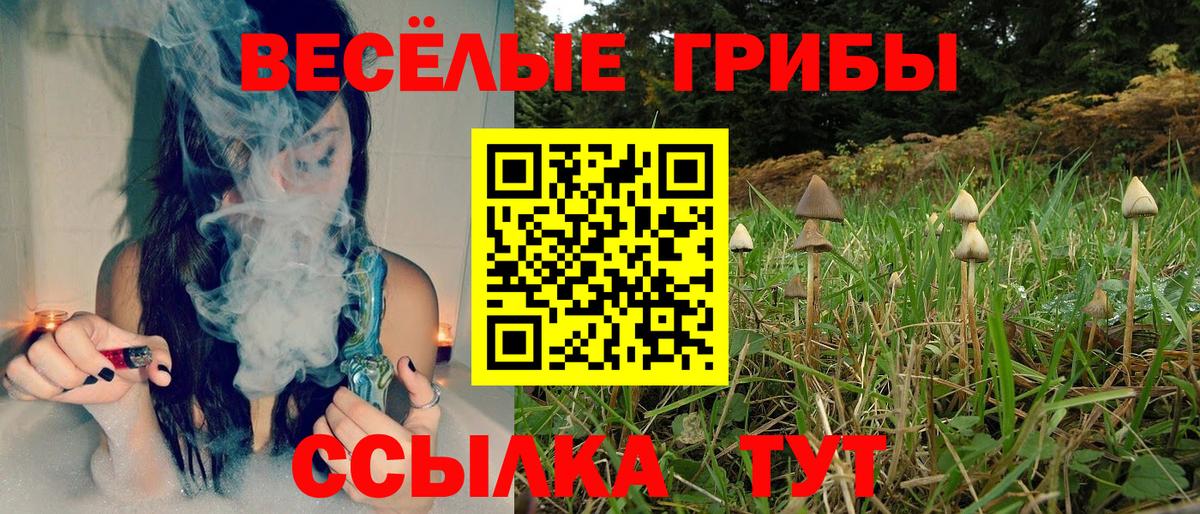 Кириши  Галлюциногенные грибы Psilocybe  Вход с VPN  закладка  Галлюциногенные грибы MAGIC MUSHROOMS 